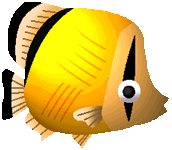 �C���[�W�Q